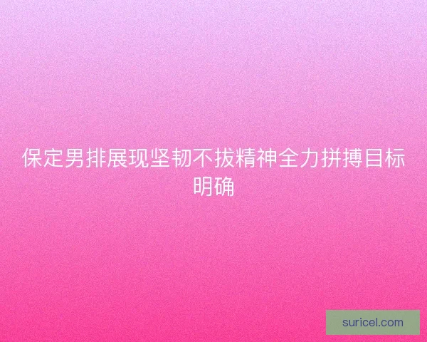 保定男排展现坚韧不拔精神全力拼搏目标明确