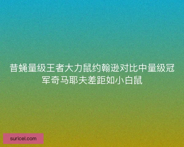 昔蝇量级王者大力鼠约翰逊对比中量级冠军奇马耶夫差距如小白鼠